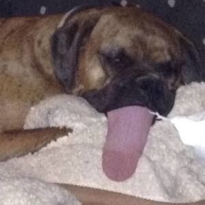 Meet your Posher, Jaydon